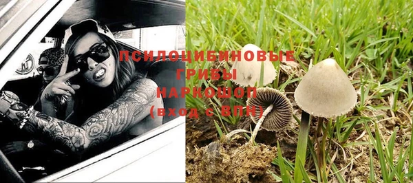 молекула духа Бородино