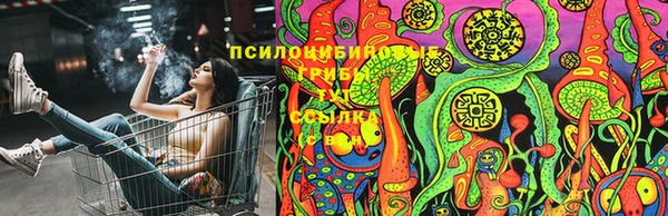 ECSTASY Верея