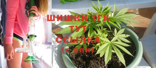 ECSTASY Верея
