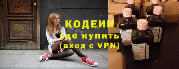 молекула духа Бородино