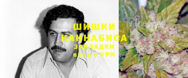 молекула духа Бородино